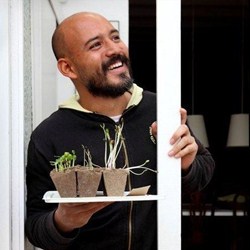 David Morales