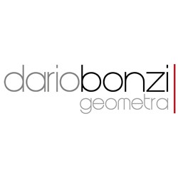 Dario Bonzi