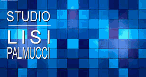 Studio Tecnico Associato Lisi Palmucci