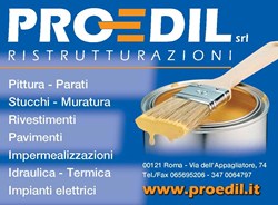 proedil ristrutturazioni srl