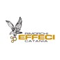 EFFECI SRL FRANCESCHINI