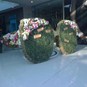 ihsane elwaly sosdeco