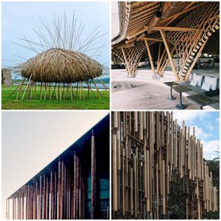 #Archilovers_Bamboo