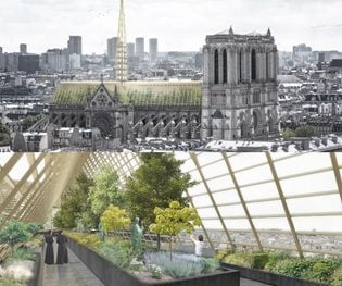 Notre Dame Redesign: 7 Design Proposals